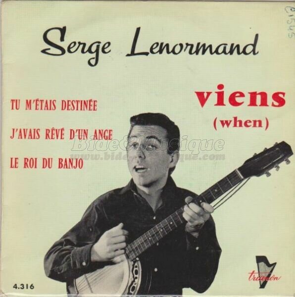 Serge Lenormand - Rock'n Bide