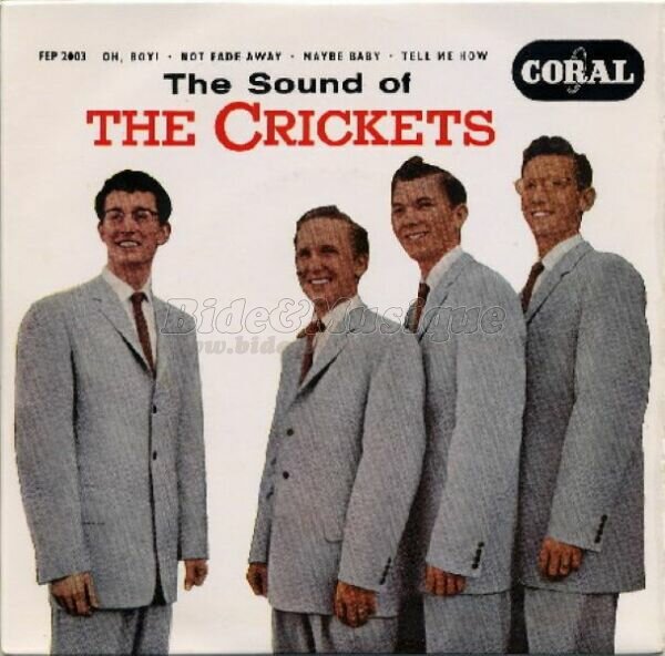 The Crickets - Not fade away