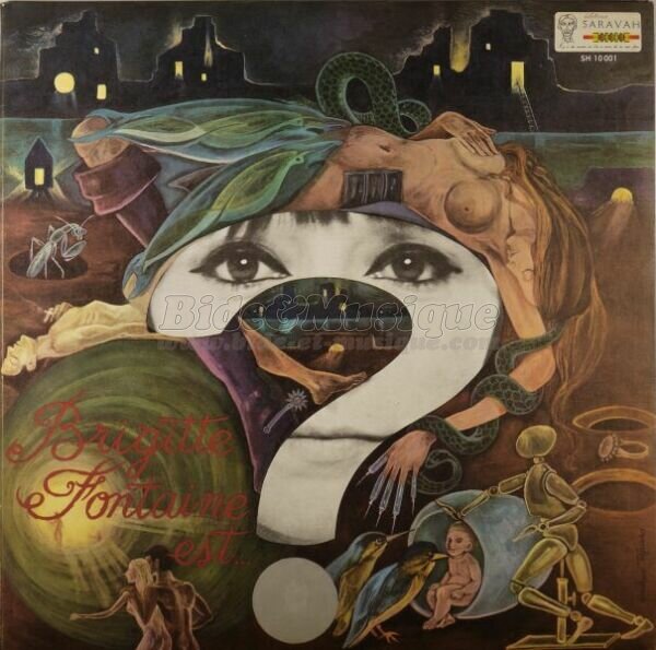 Brigitte Fontaine - D�lire