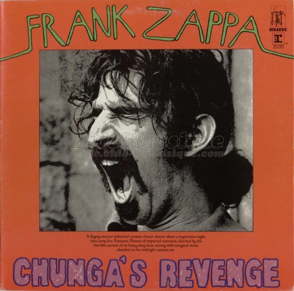 Frank Zappa - Twenty small cigars