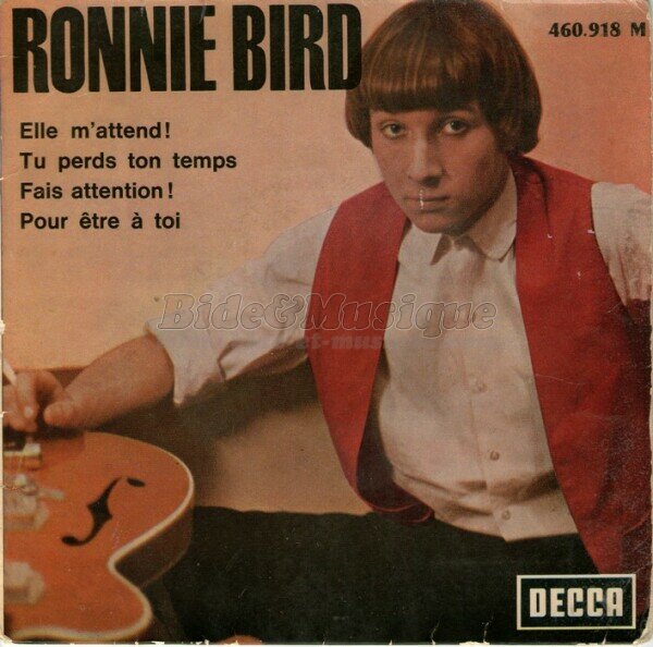 Ronnie Bird - Chez les y-y