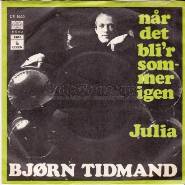 Bjrn Tidmand - Scandinabide