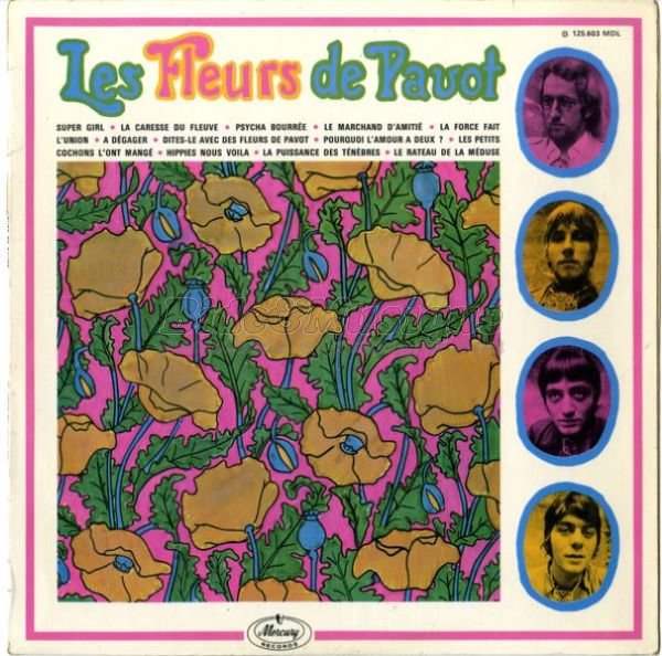 fleurs de pavot, Les - Psych'n'pop