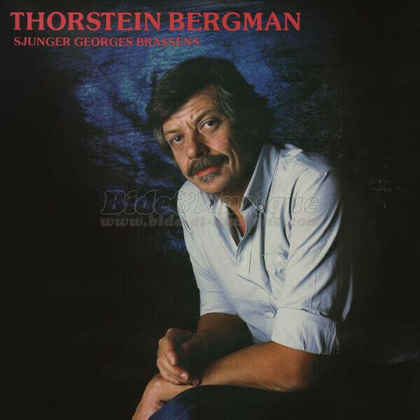 Thorstein Bergman - P� en allm�n b�nk