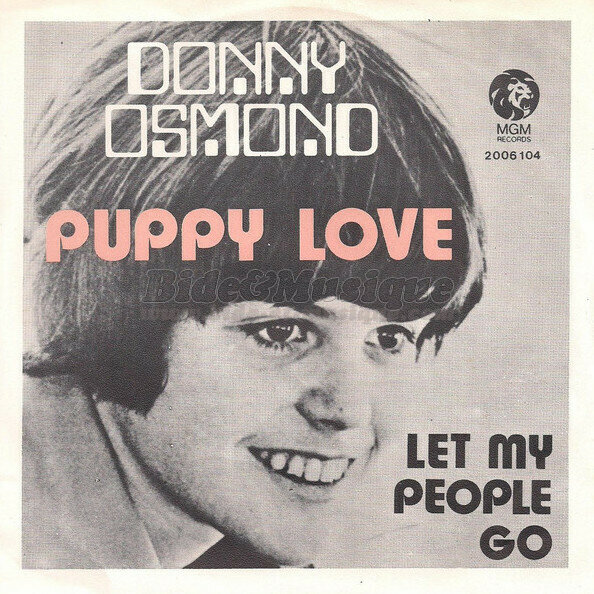 Donny Osmond - Puppy Love