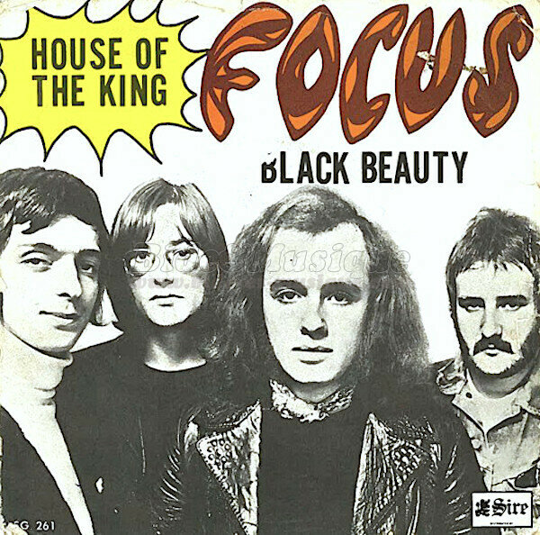Focus - House of the king