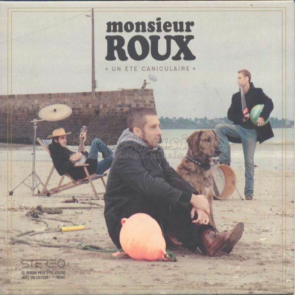 Monsieur Roux - Politiquement Bidesque