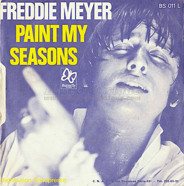 Freddie Meyer - Paint my seasons