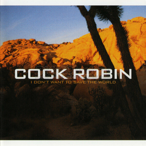 Cock Robin - Noughties