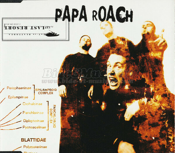 Papa Roach - coin des guit'hard, Le