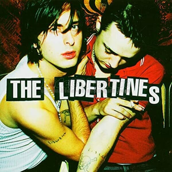 The Libertines - Can't stand me now