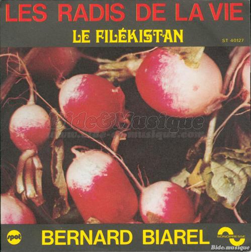 Bernard Biarel - Never Will Be, Les