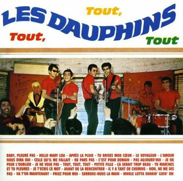 Les Dauphins - Le voyageur