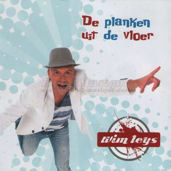 Wim Leys - Net als in een droom