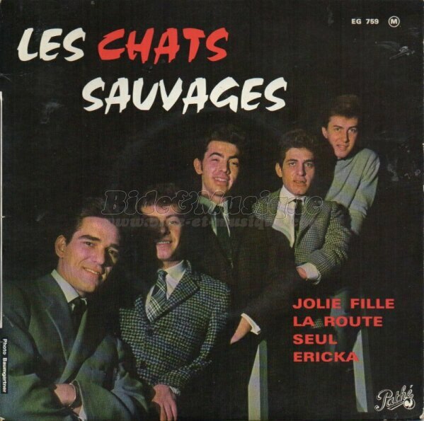 Chats Sauvages, Les - Rock'n Bide