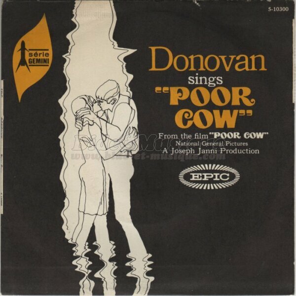 Donovan - Poor cow