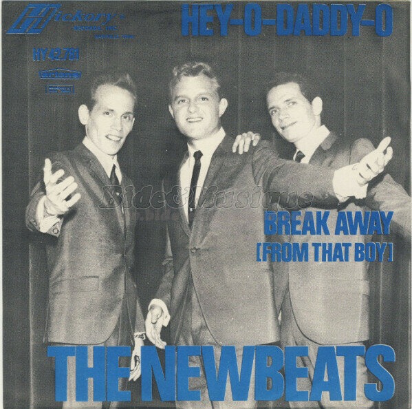 Newbeats, The - Sixties