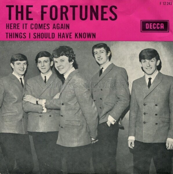 The Fortunes - Here it comes again