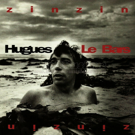 Hugues Le Bars - Chat dans l'eau