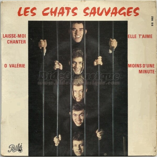 Les Chats Sauvages & Mike Shannon - Elle t'aime