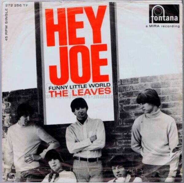 The Leaves - Hey Joe