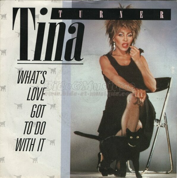 Tina Turner - What's love got to do with it