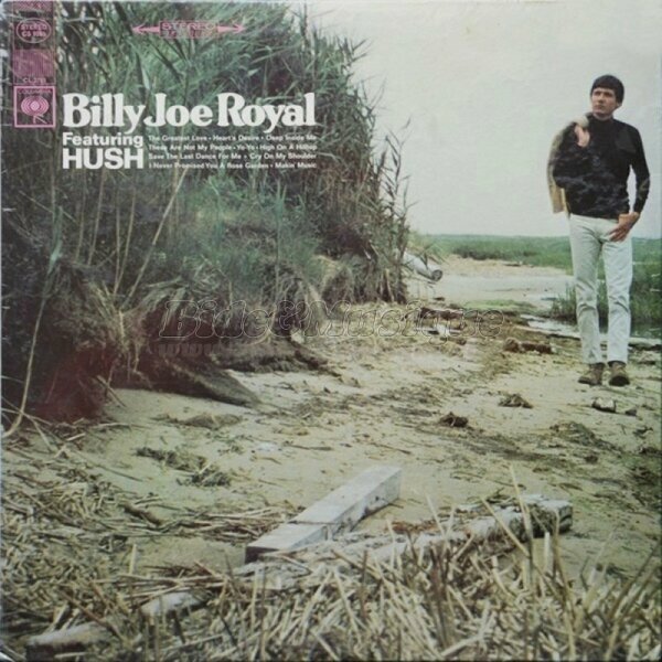 Billy Joe Royal - I never promise you a rose garden