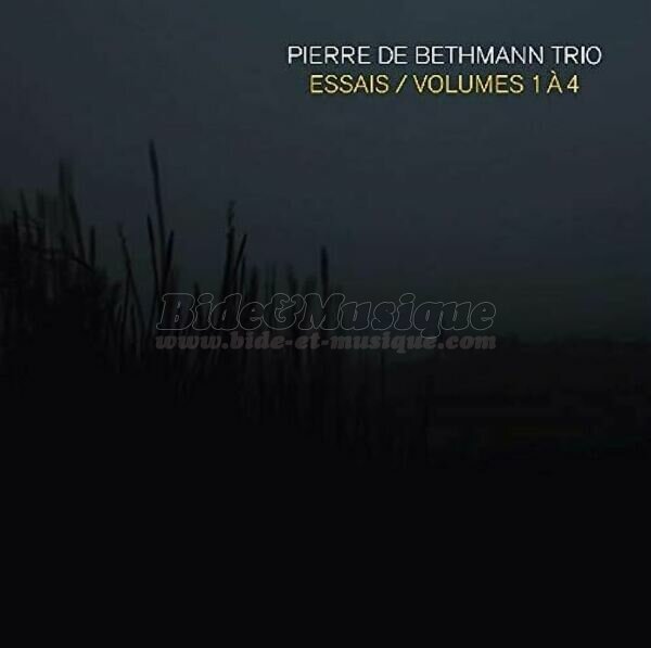 Pierre de Bethmann Trio - Pull marine