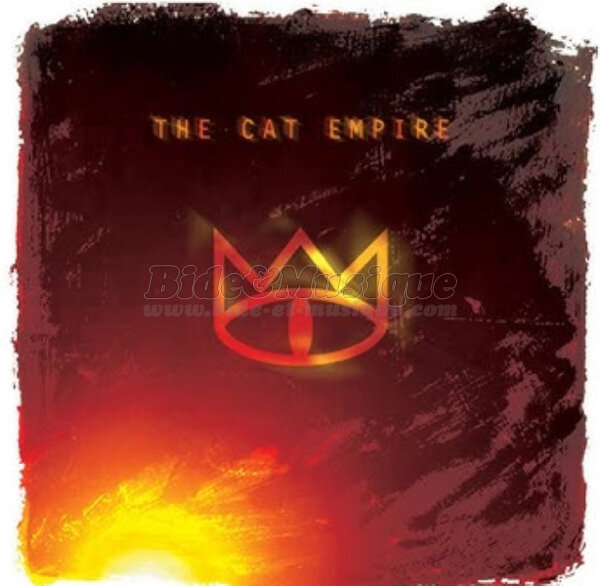 Cat Empire, The - Bide in America