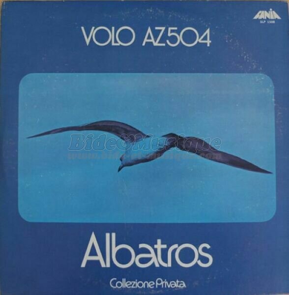 Albatros - bidoiseaux, Les
