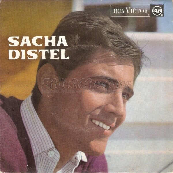 Sacha Distel - bonheur, c'est simple comme un coup de bide, Le