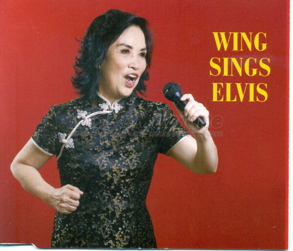 Wing - In�coutables, Les