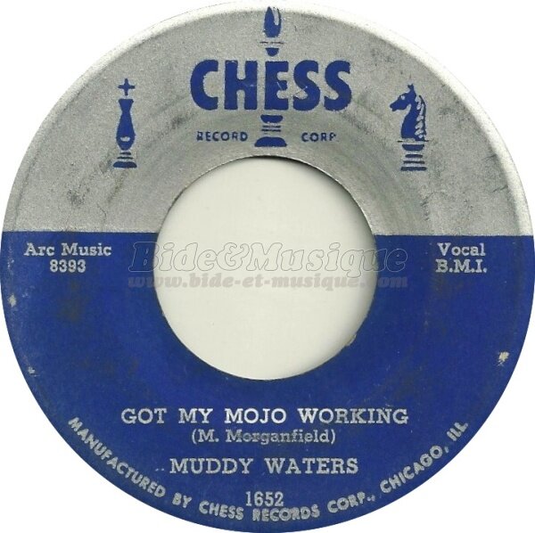 Muddy Waters - Got my mojo working