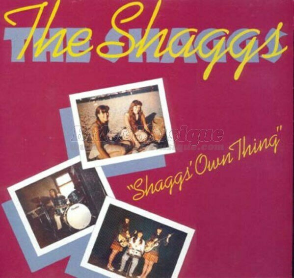 Shaggs, The - 80'