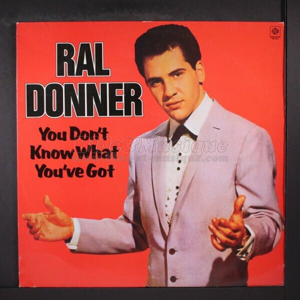 Ral Donner - She's everything (I want you to be)