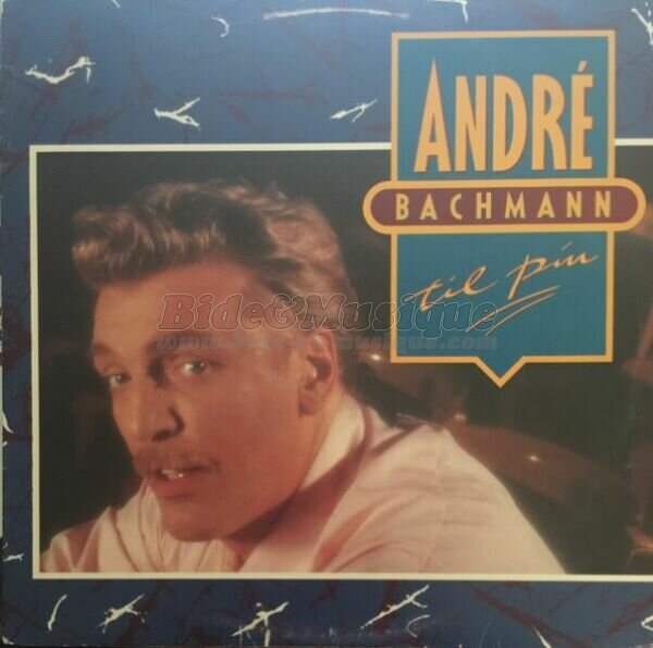 Andr� Bachmann - Scandinabide