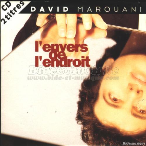 David Marouani - L'envers de l'endroit