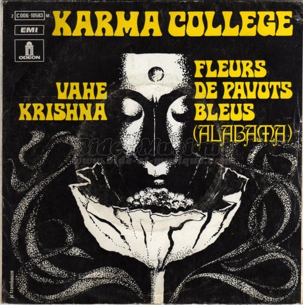Karma College - Fleurs de pavots bleus