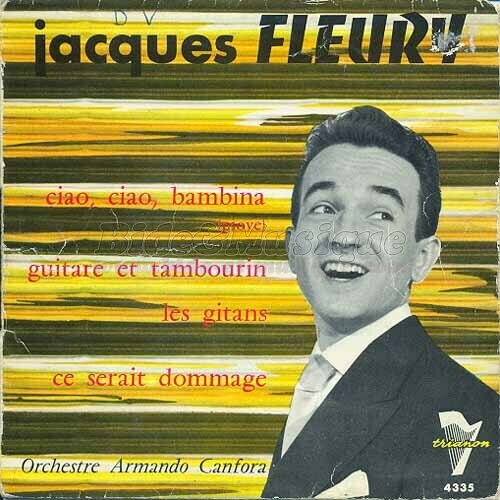 Jacques Fleury - Ce serait dommage