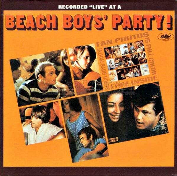 The Beach Boys - Mountain of love