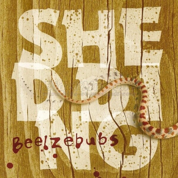 Tufts Beelzebubs - Everybody wants to rule the world