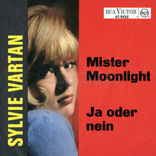 Sylvie Vartan - Ja oder nein