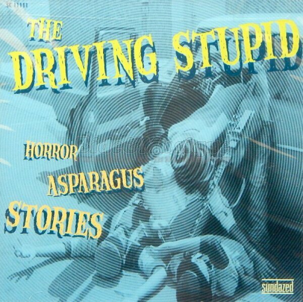 The Driving Stupid - The reality of (air) fried borsk