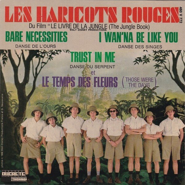 Les Haricots Rouges - Le temps des fleurs (Those where the days)