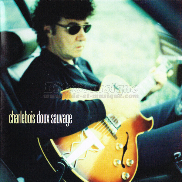 Robert Charlebois - C%27%E9tait une tr%E8s bonne ann%E9e