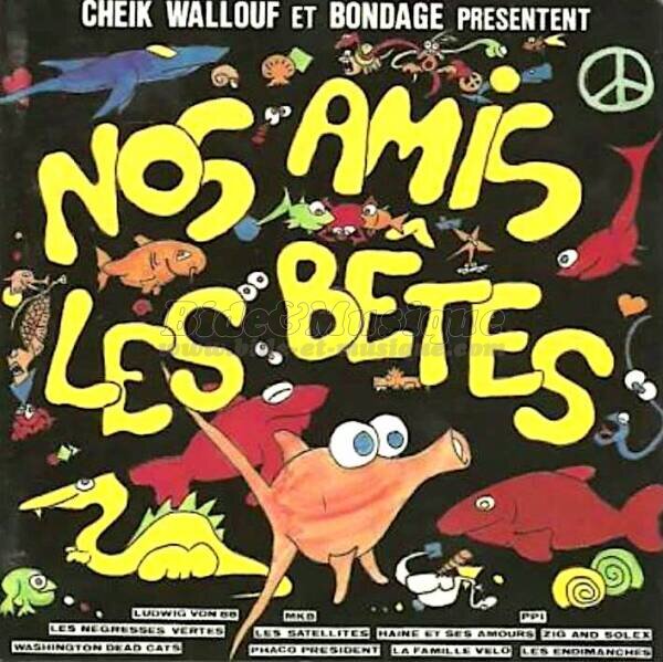 Les Satellites - Le mouton kabyle
