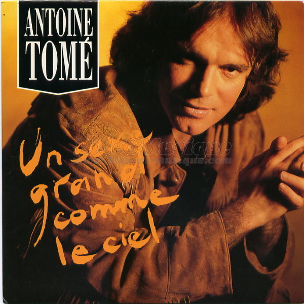 Antoine Tom - Un sexe grand comme le ciel