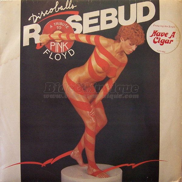 Rosebud - Bidisco Fever