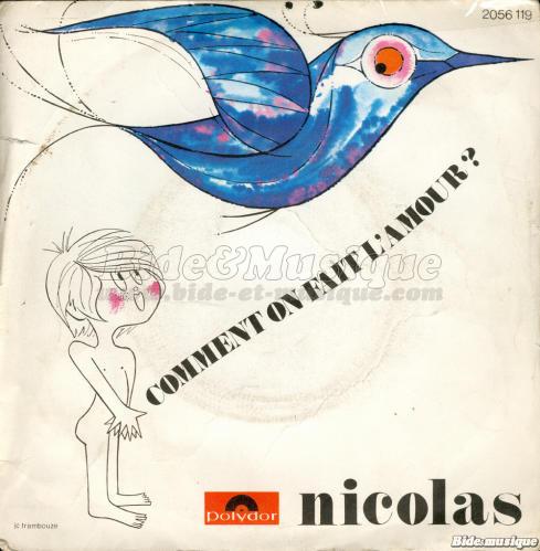 Nicolas - Journal du hard de Bide, Le