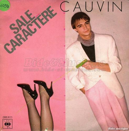 Stphan Cauvin - Sale caractre